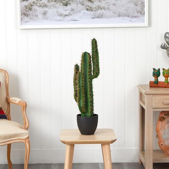 2.5ft. Potted Cactus Plant